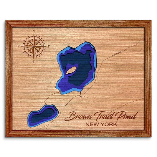 Brown Tract Pond, New York Depth Map