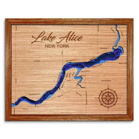 Lake Alice in Waterport, New York Depth Map Wall Decor
