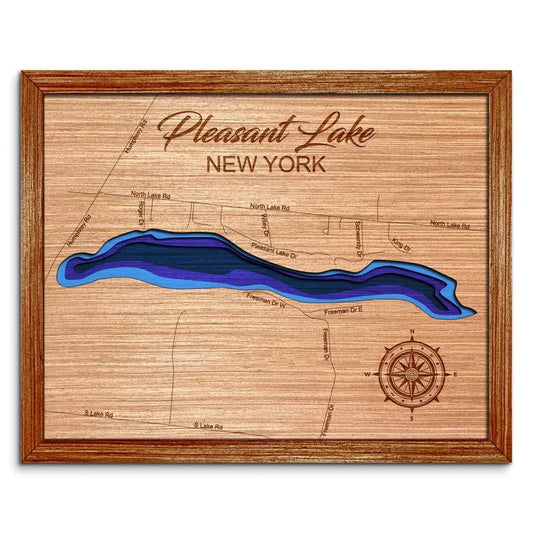 Pleasant Lake, Champion New York Depth Map  Wall Decor