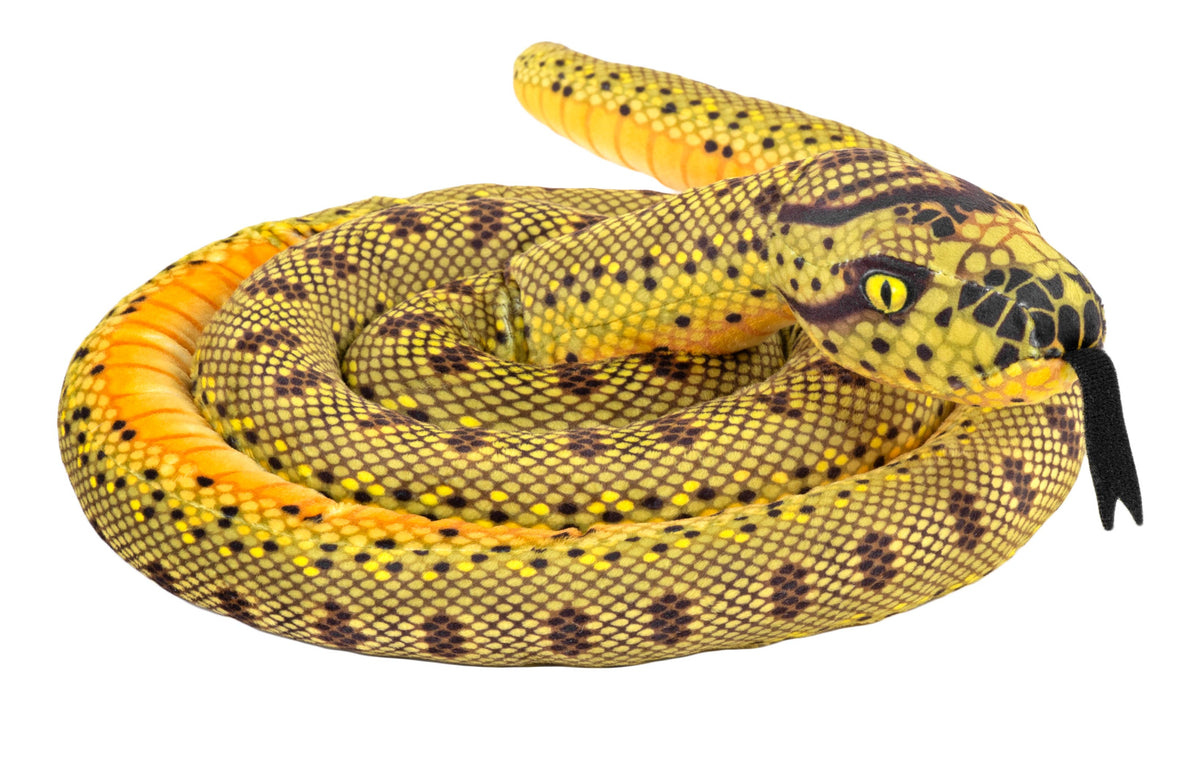 Snake-Living Anaconda
