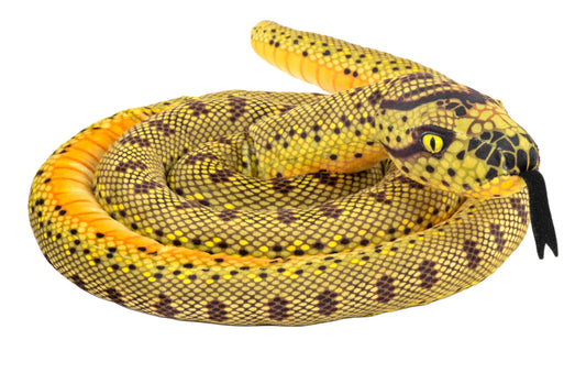 Snake-Living Anaconda